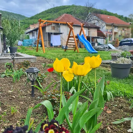 Aleksandra 2 6 아파트 소코 반자