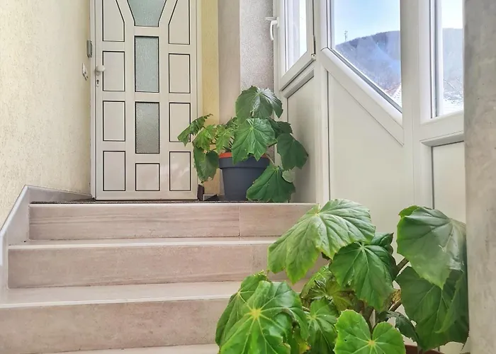 Aleksandra 2 6 شقة *