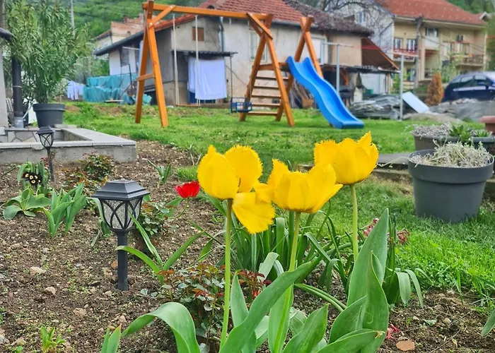 Aleksandra 2 6 شقة سوكو بانيا